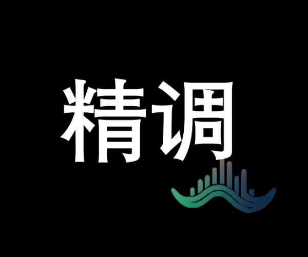 调试 - 精调